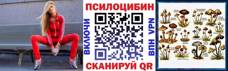 MEGA tor  Салават  Псилоцибиновые грибы прущие грибы 